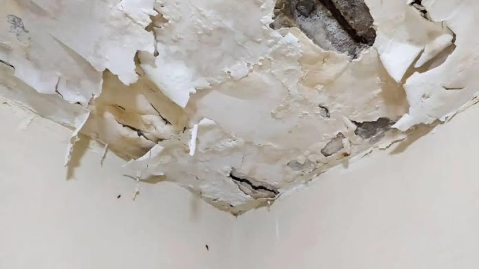 Peeling, water-damaged paint at a ceiling corner