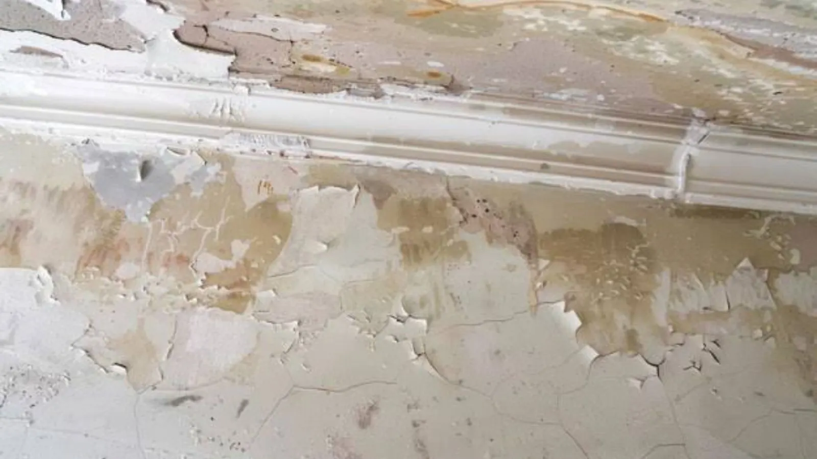 Peeling and stained wall paint above a baseboard after water damage