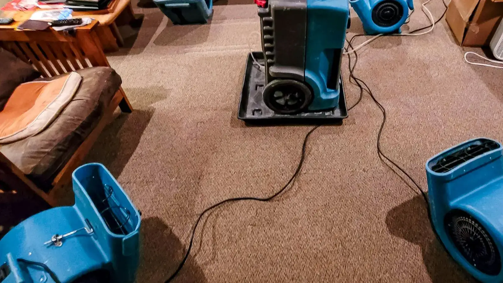 Dehumidifier and air movers running on a carpeted floor