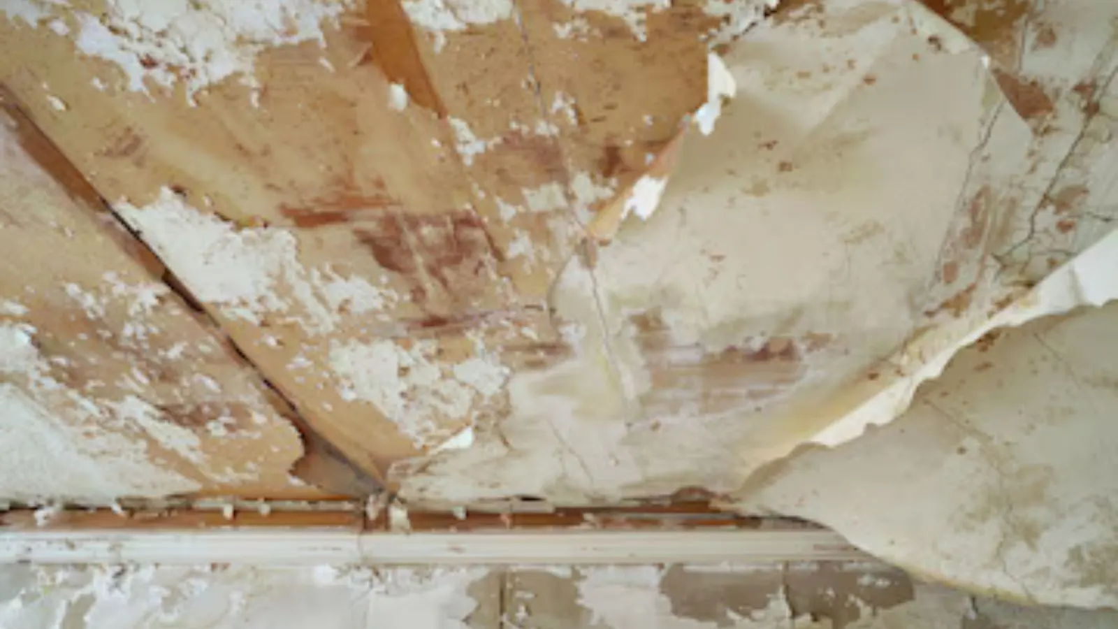 Water-damaged plaster ceiling with peeling layers